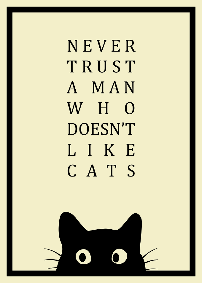 Cat Lover Man