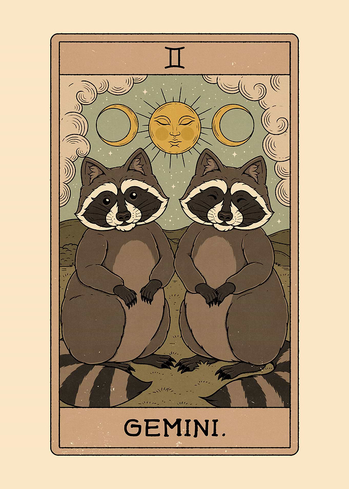 Gemini Raccoon