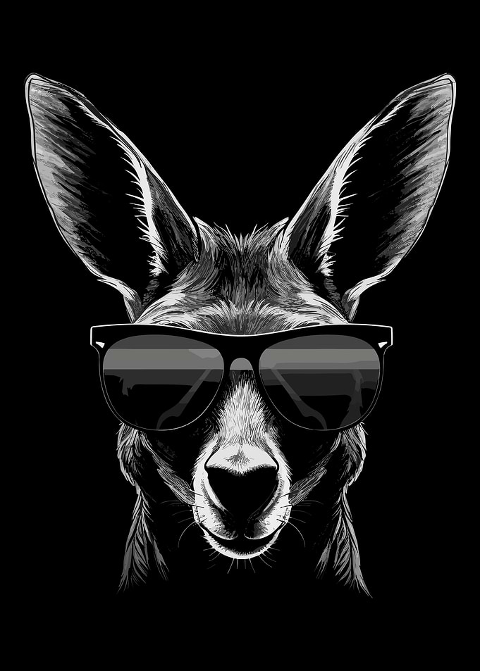 Kangaroo Sunglasses Cool