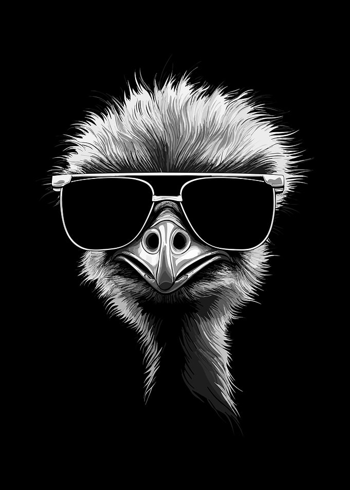 Ostrich Sunglasses Cool