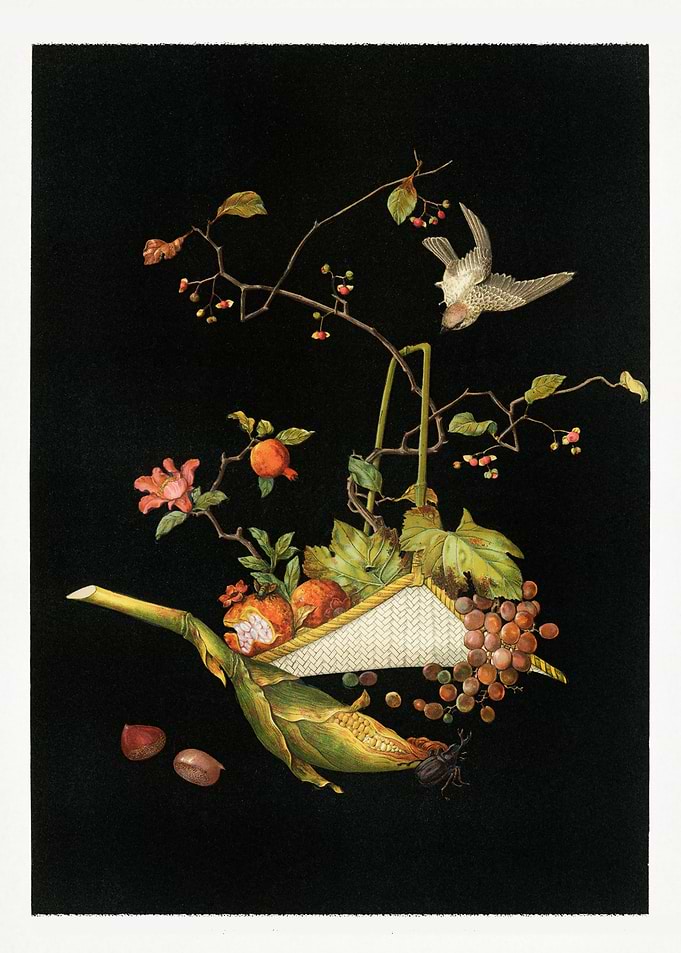 bird and flowers