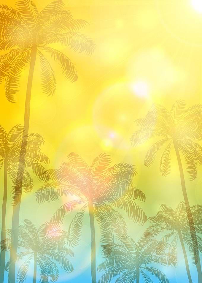Summer Palm Tree