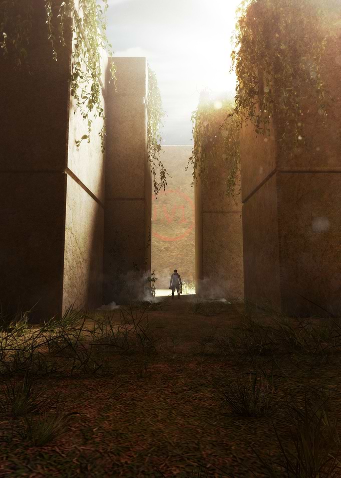 Entering The Maze