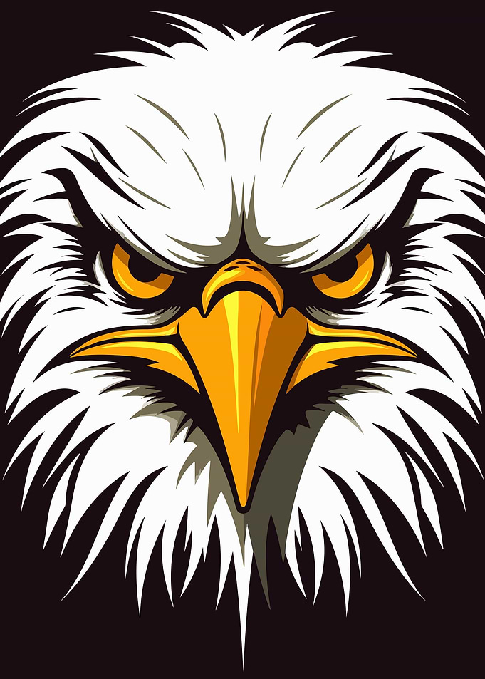 Eagle Illustration