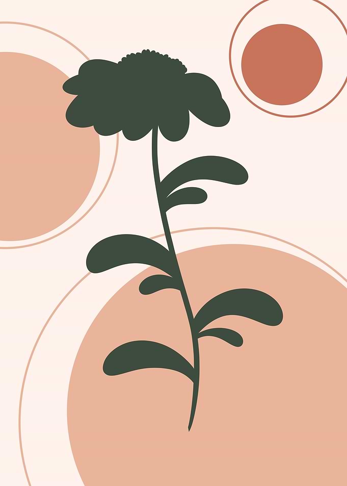 Flower V5