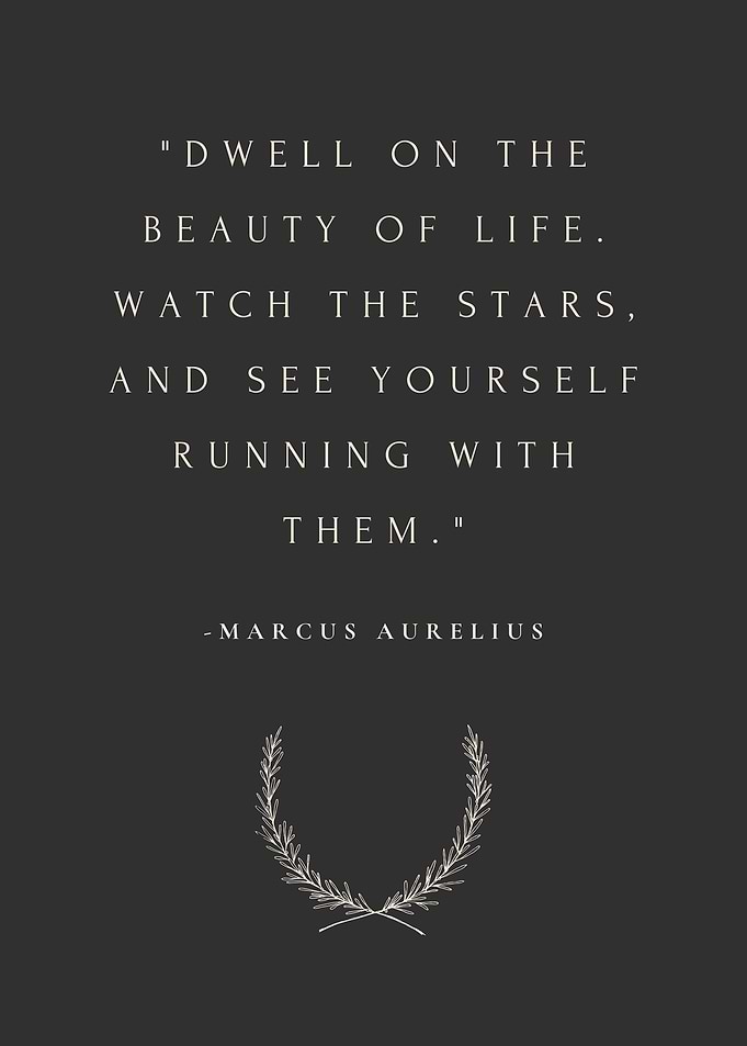 Marcus Aurelius Quote