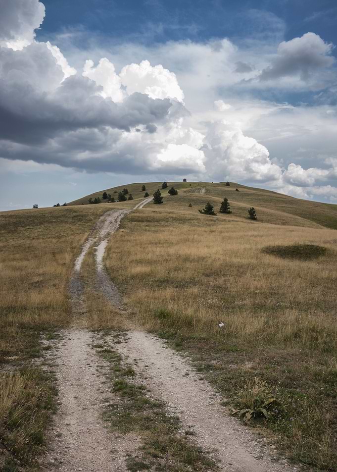 the Track