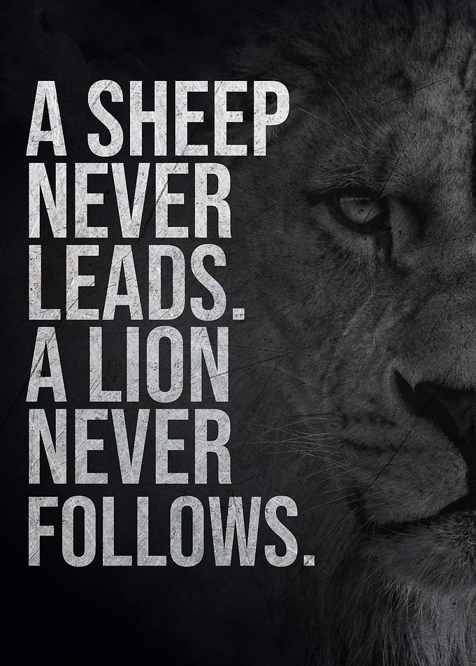 Leader Like a Lion