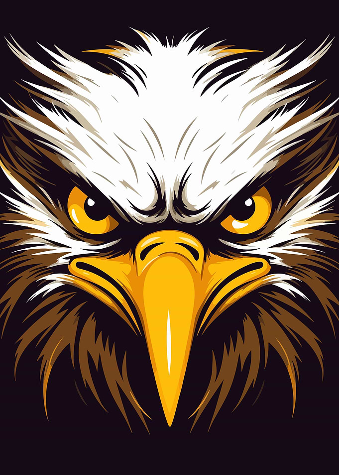 Eagle Illustration