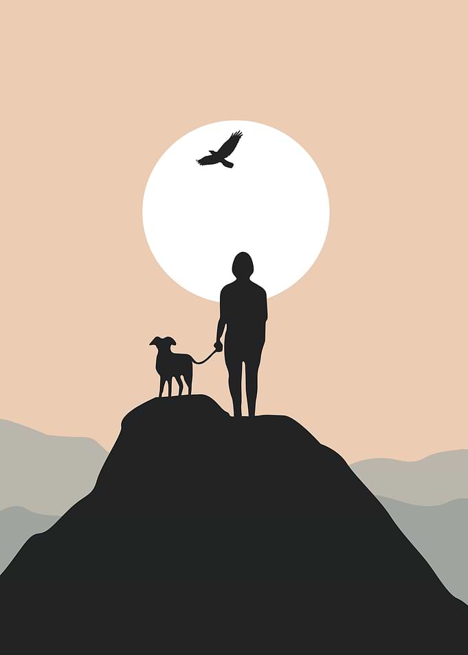 Silhouette Man Dog Sunset