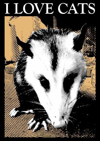 I Love Cats Opossum