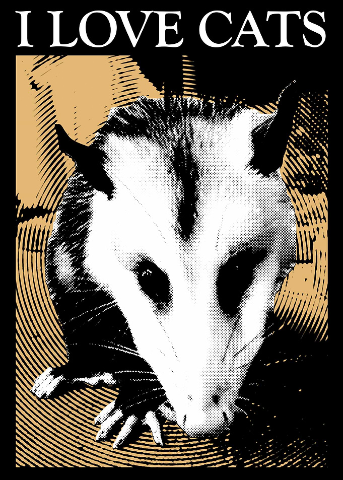 I Love Cats Opossum