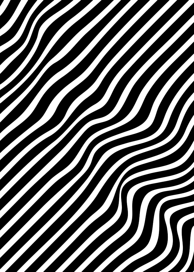 Fashion Zebra beauty Lines