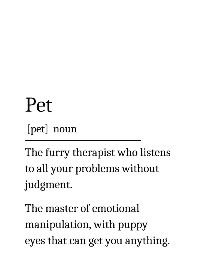Pet Definition