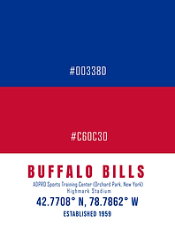Buffalo Bils Color Team