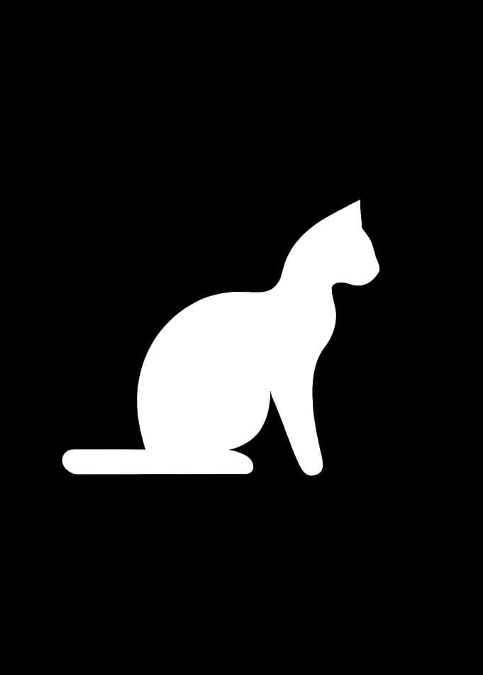 Animal Cat ART funny