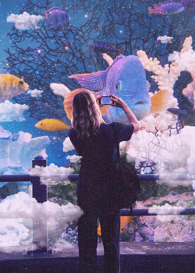 Underwater Sky