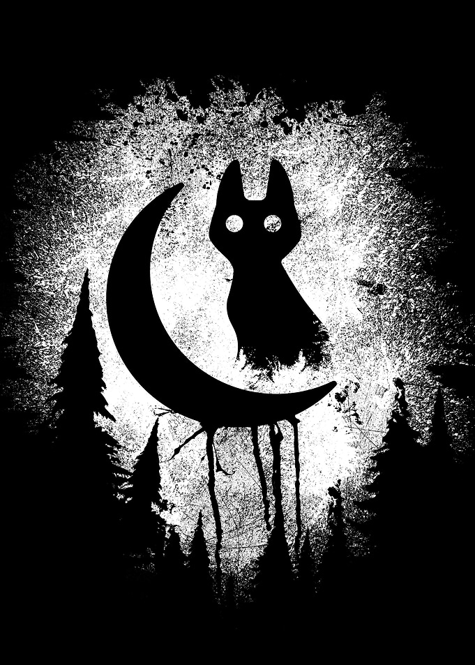 Black Night Cat
