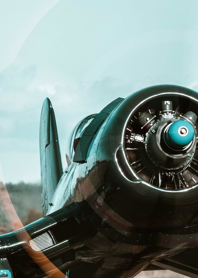 ready to fly