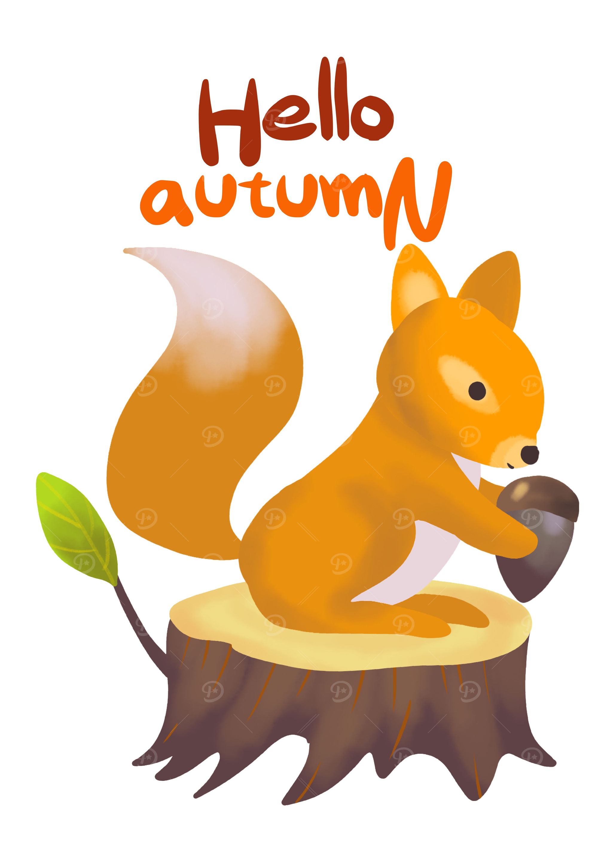Hello Squirrels