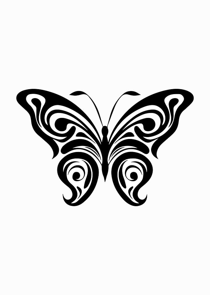 Butterfly Stencil Design
