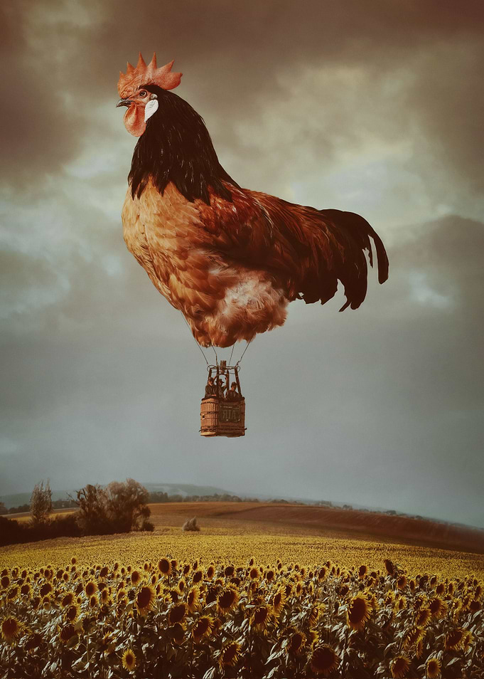 Chicken Balloon Flight