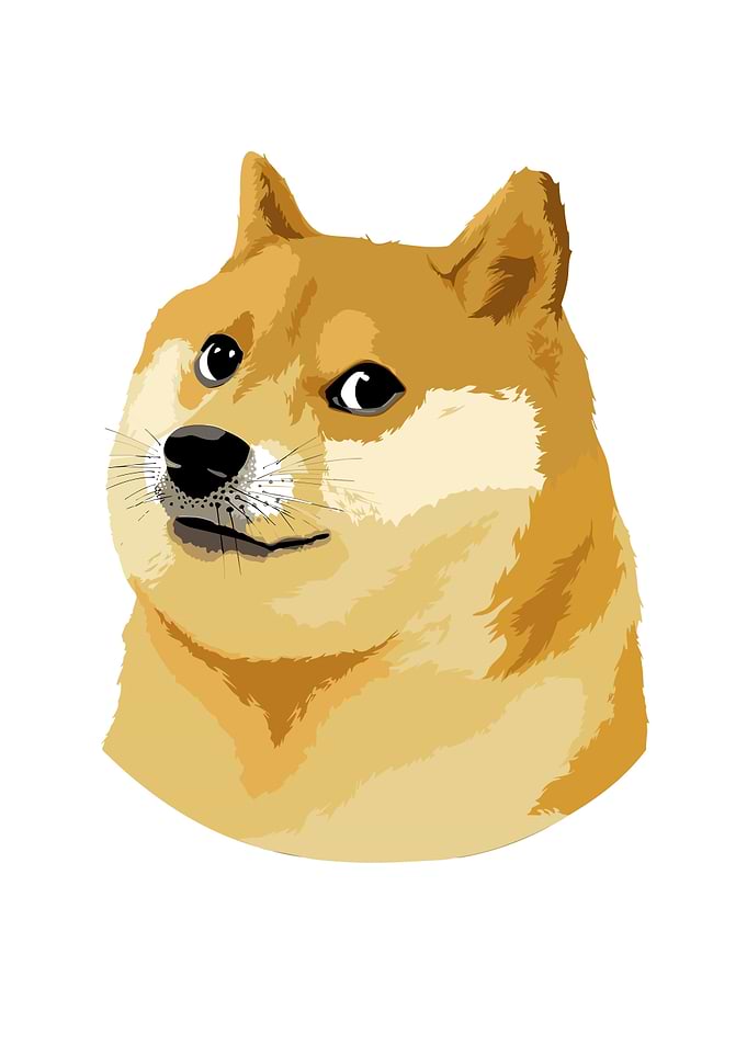 Doge