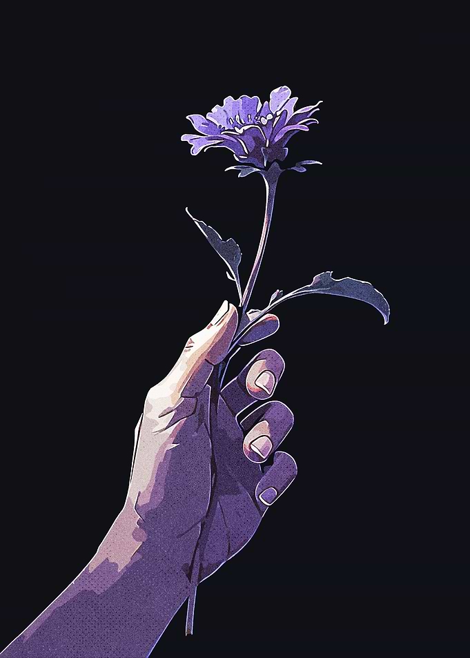 Purple flower in a dark