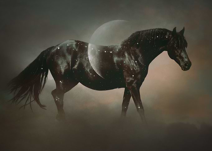 Celestial Friesian Horse