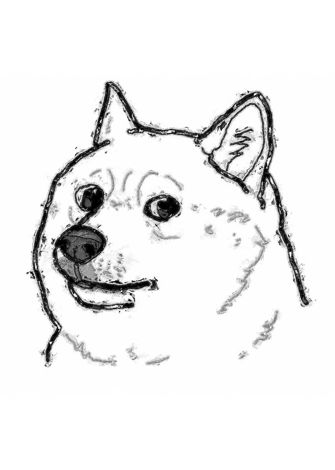 Doge Meme