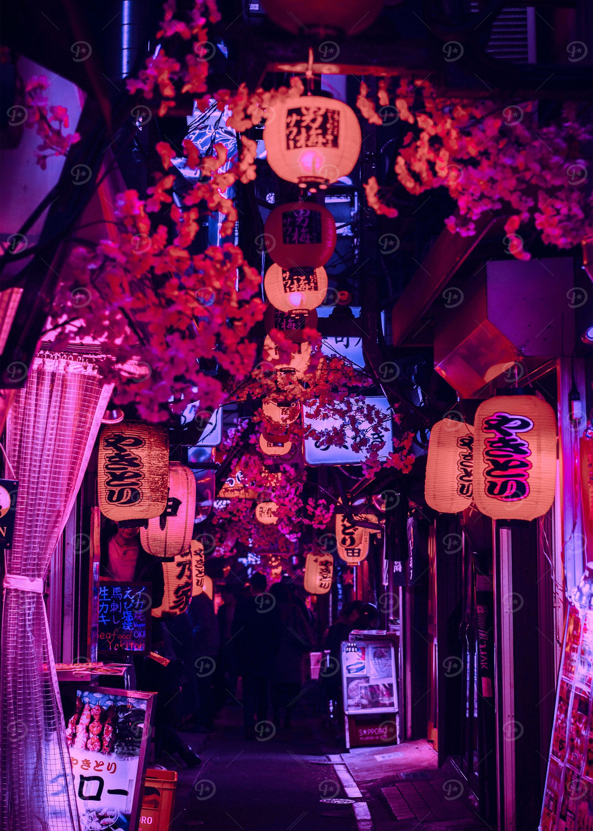 Japan V2