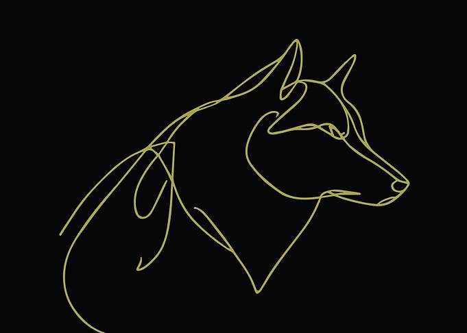 Golden Line Art Wolf