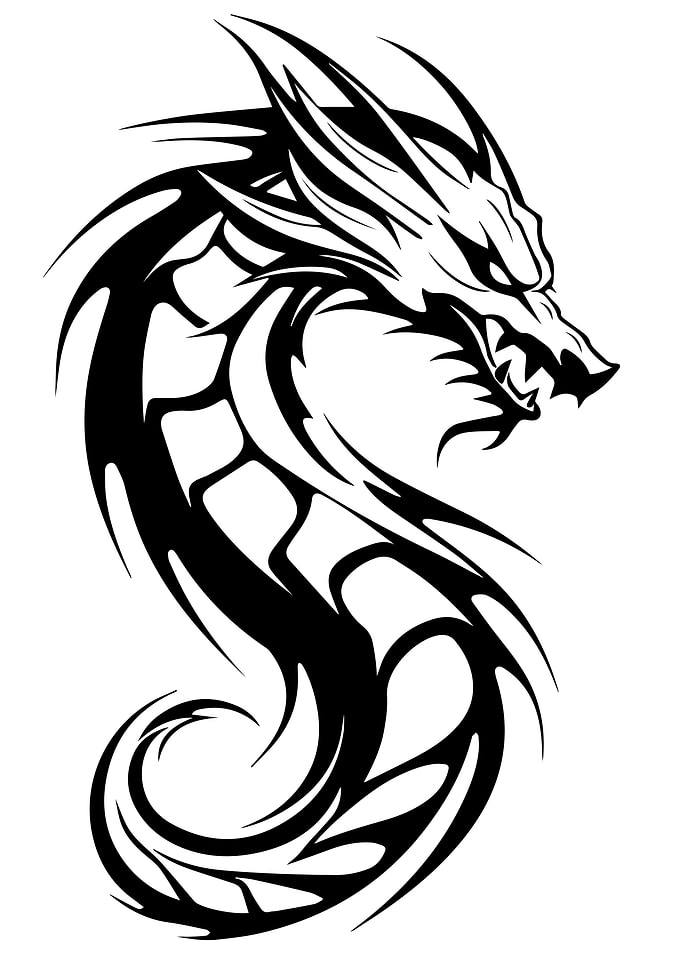Dragon Tribal Design
