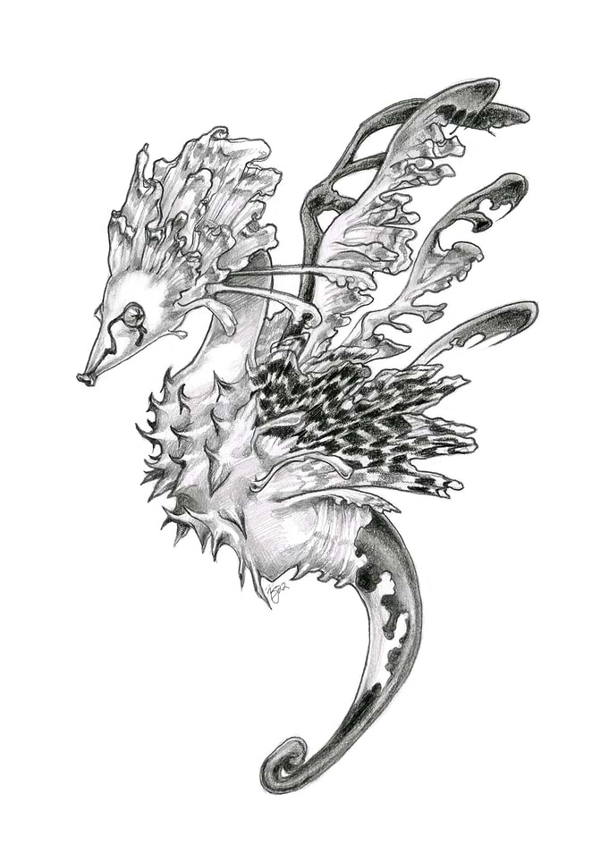 Mystical Hippocampus