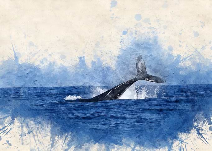 Watercolor Whale