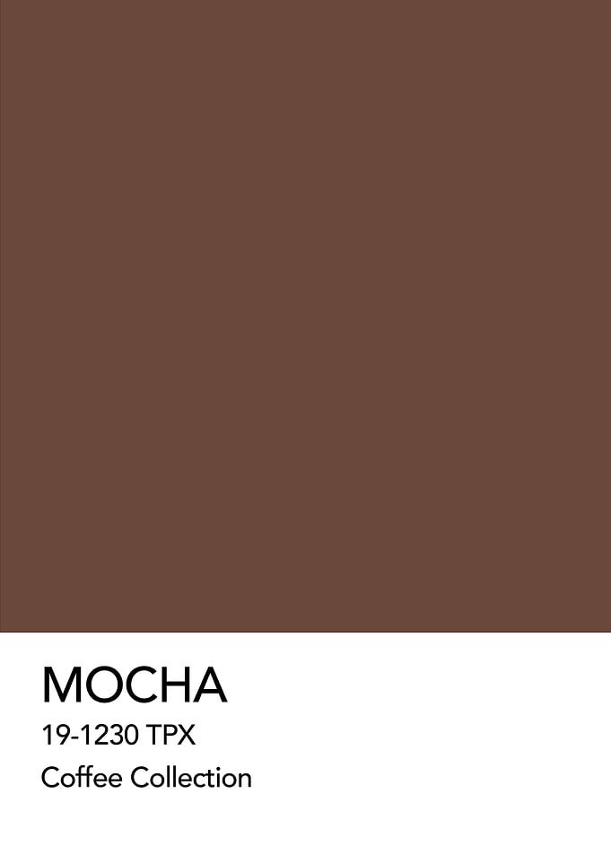 Mocha Coffee Pantone Color