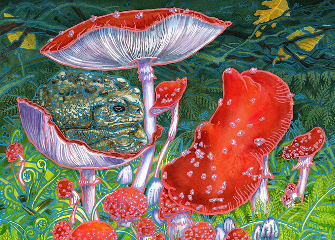Toads on a Toadstool