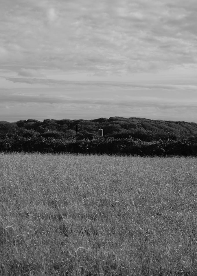 The Hidden Silo