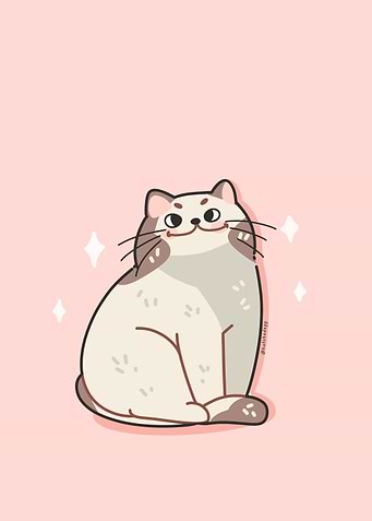 cute meme cat with soft