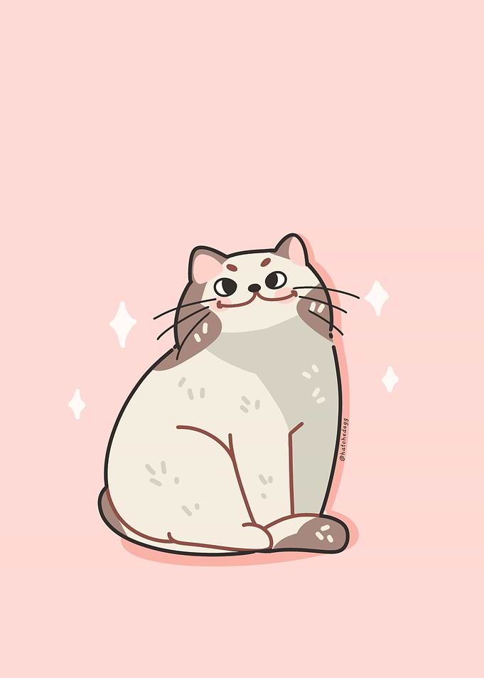 cute meme cat with soft