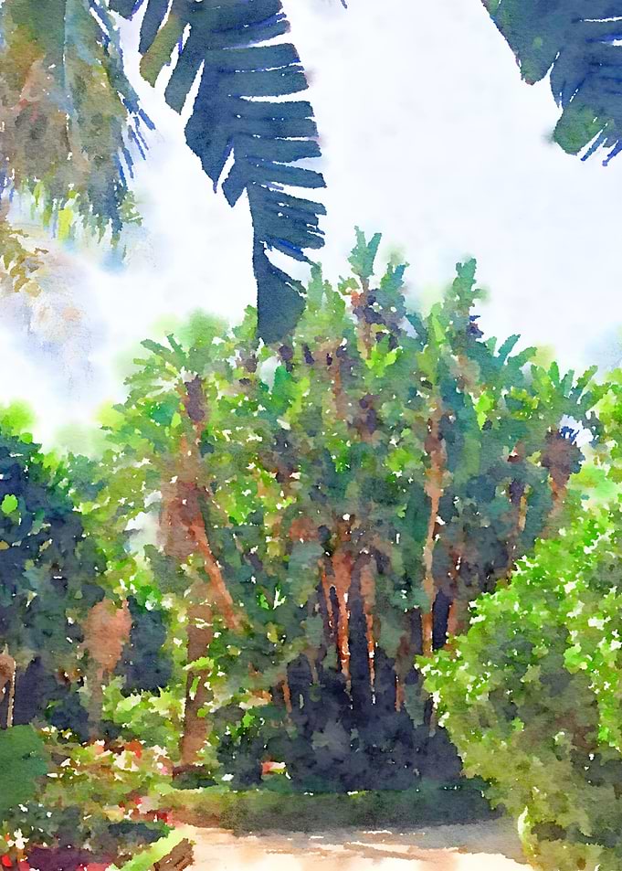 Watercolor Forest