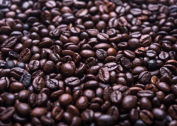 Fresh Coffee Beans