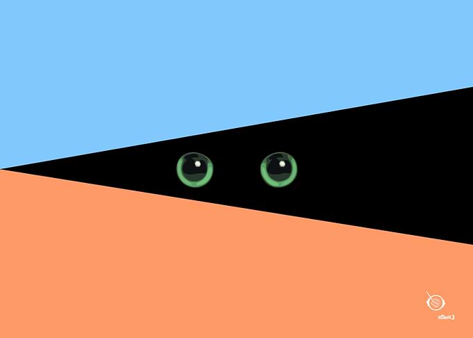 Cat in the Gap