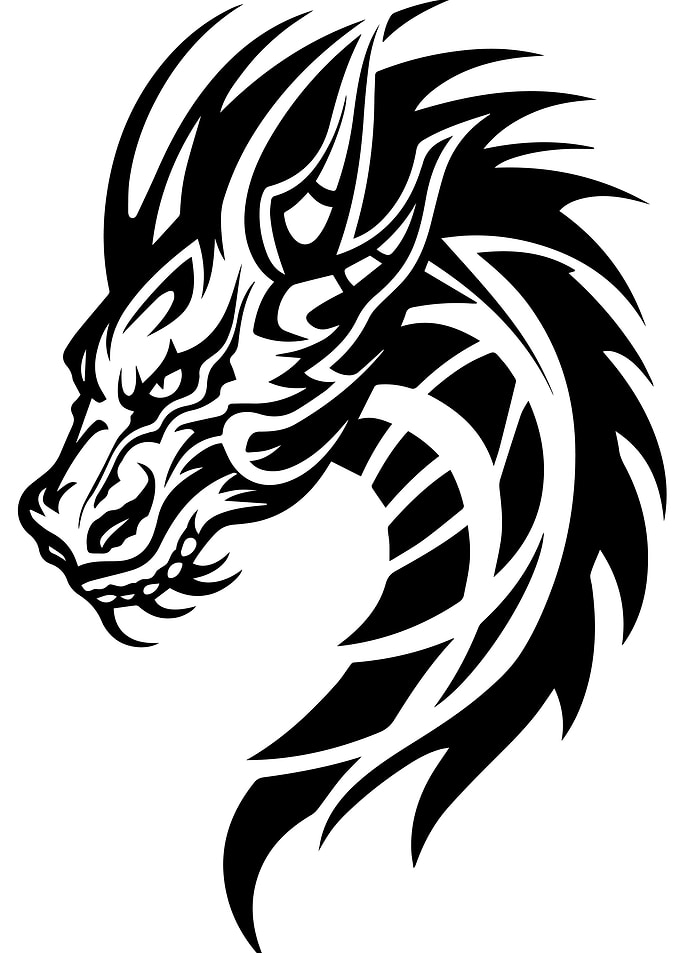 Dragon Tribal Design