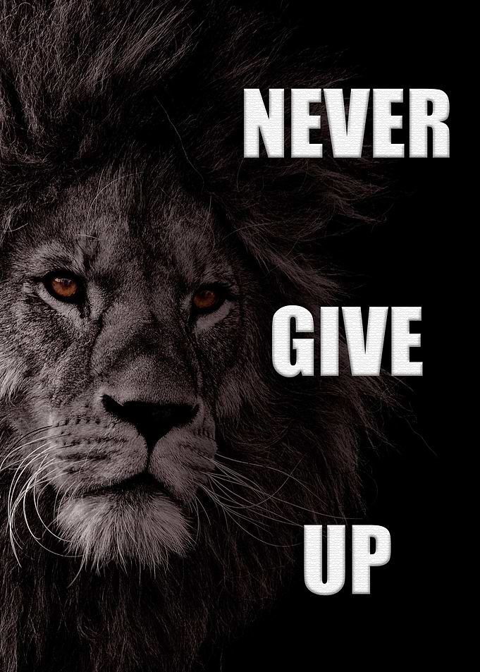 Never give up motivational