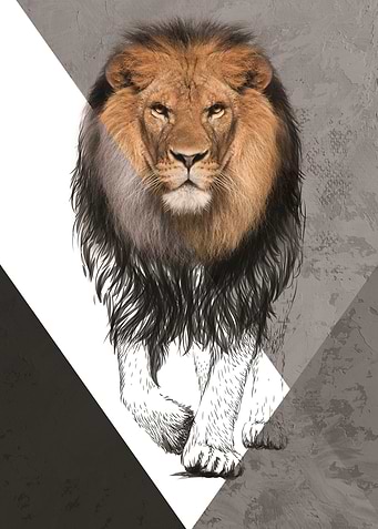 Leon Geometric