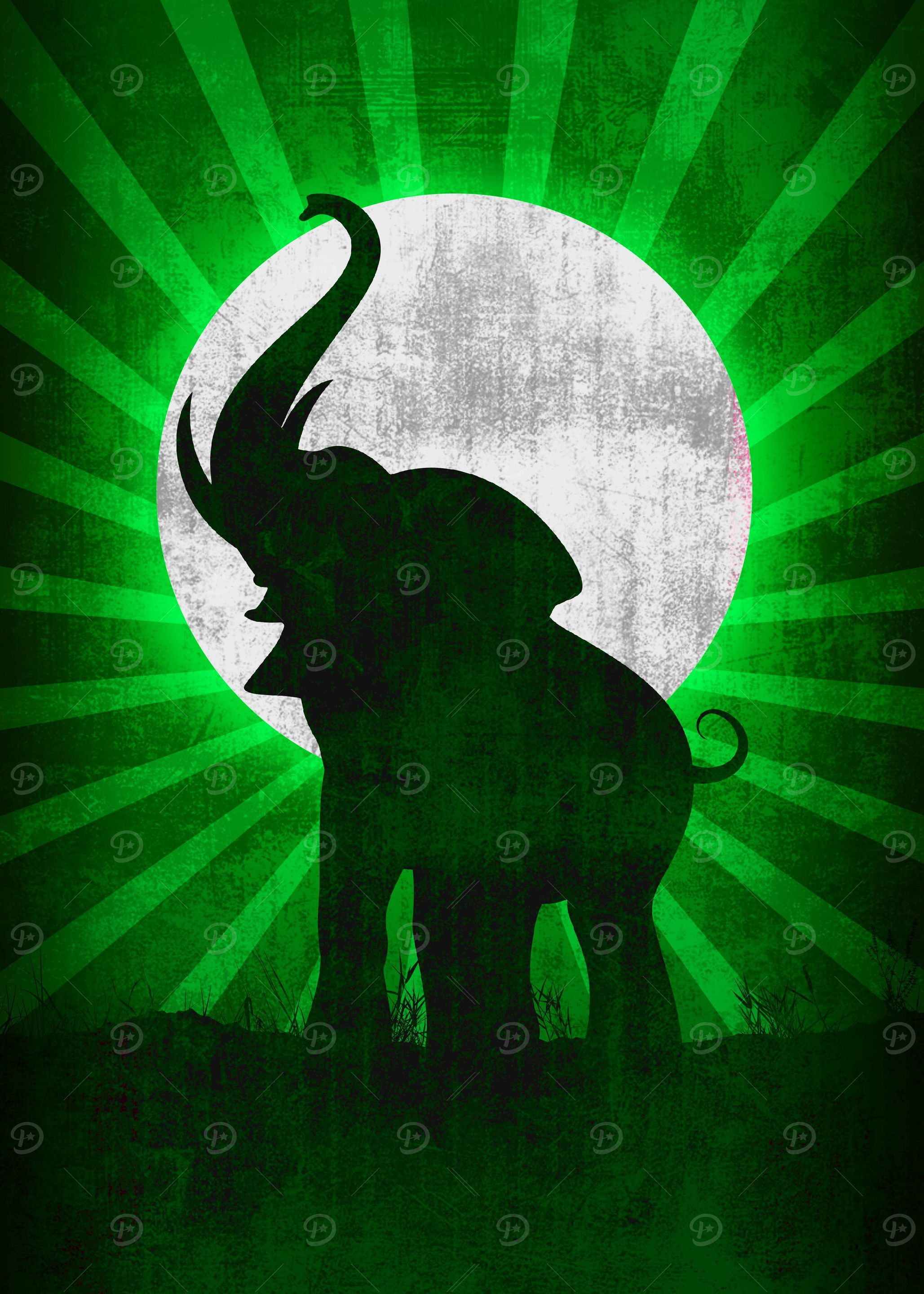 Elephant
