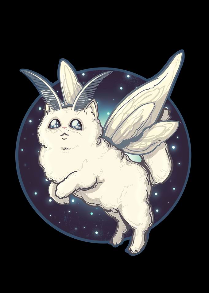 Moth Kitty