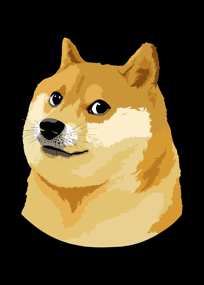 Doge