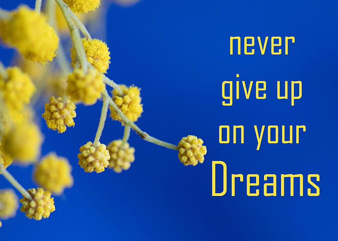never give up